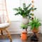 28" Artificial Zamioculcas Plant with Decorative Planter